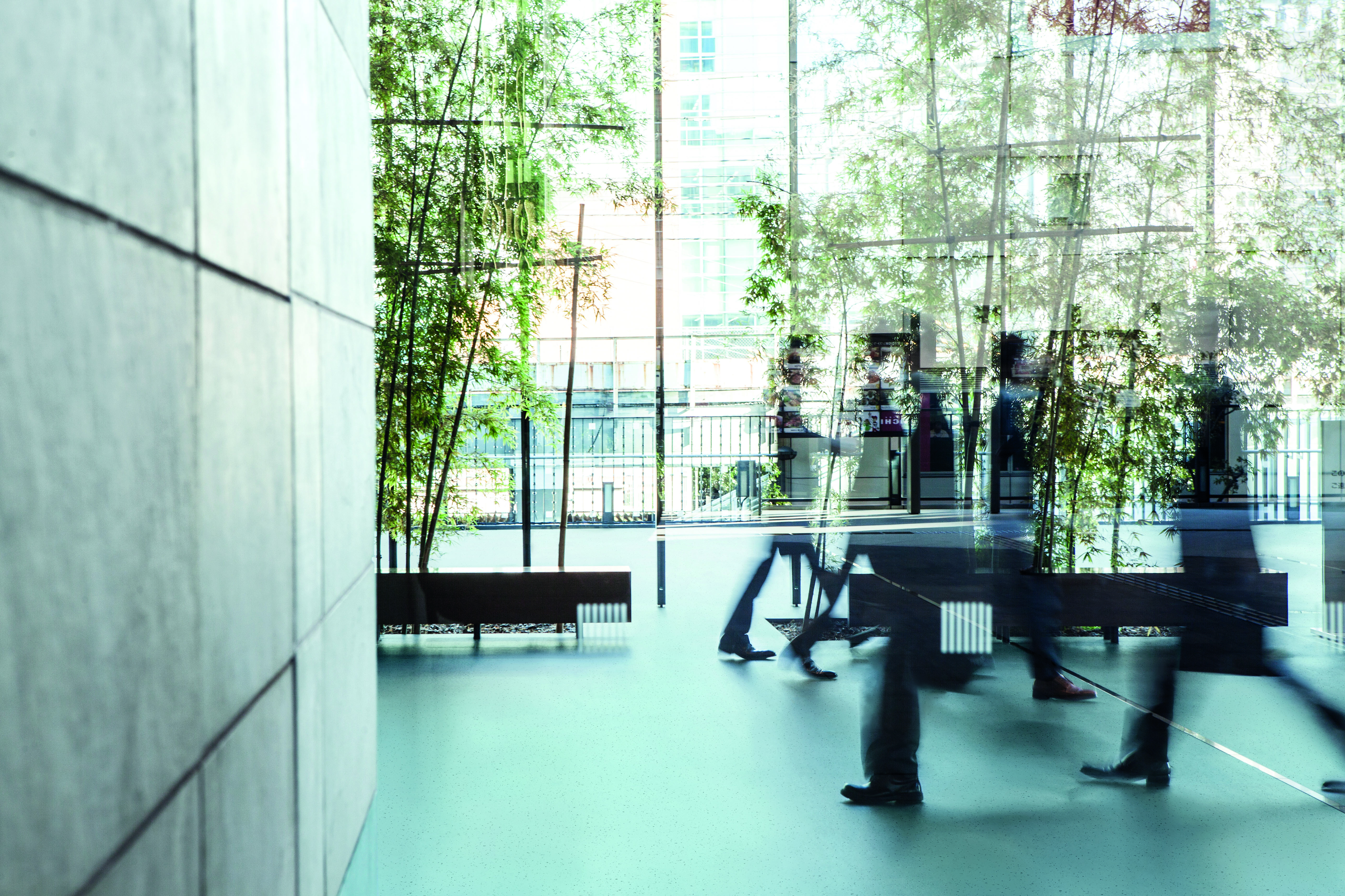 Mipolam Planet Traffic