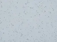 Mipolam Planet 5413 Rain Fall