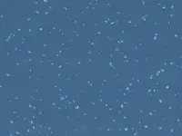 Taralay Premium - Indiana-4476-Wattaru