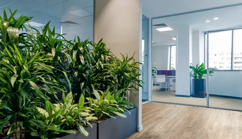 Gerflor Büro_Empfang